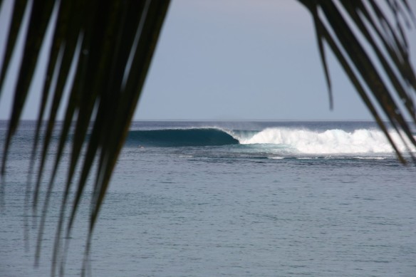 SaltyLips Rosary Walsh Indonesia surf Salty Lips